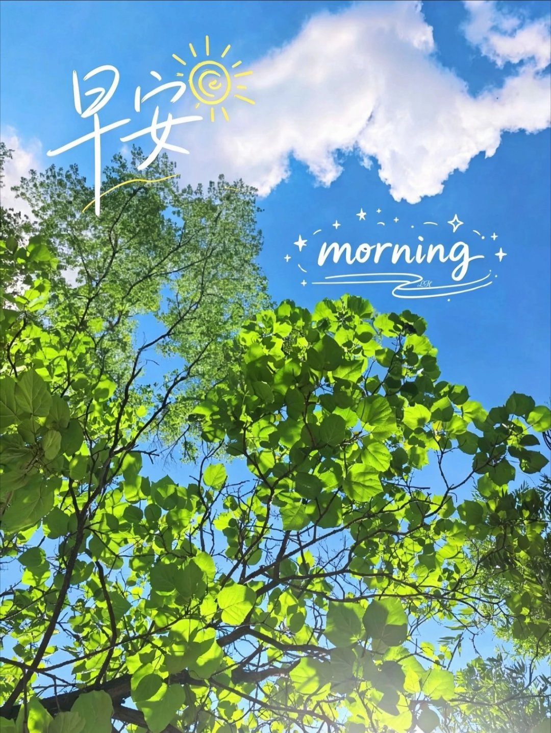 周三是一周的缓冲小站点，一半褪去周初的匆忙，一半藏着奔赴周末的期待。窗外微风温柔