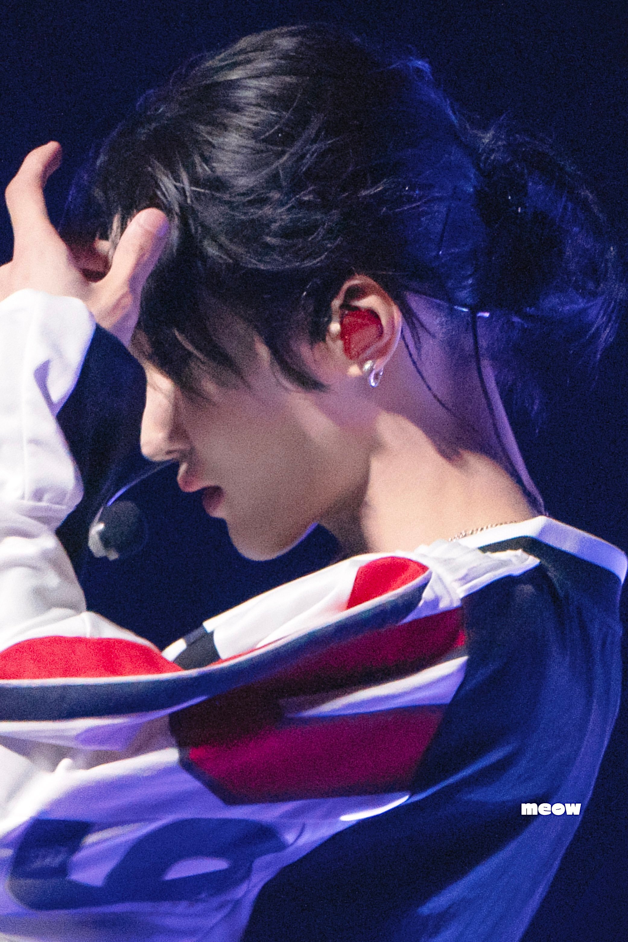 /meow 
