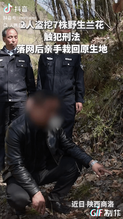 “上人民日报了！”陕西商洛，近日当地警方破获了一起非 法采挖野生兰花案，两名嫌 