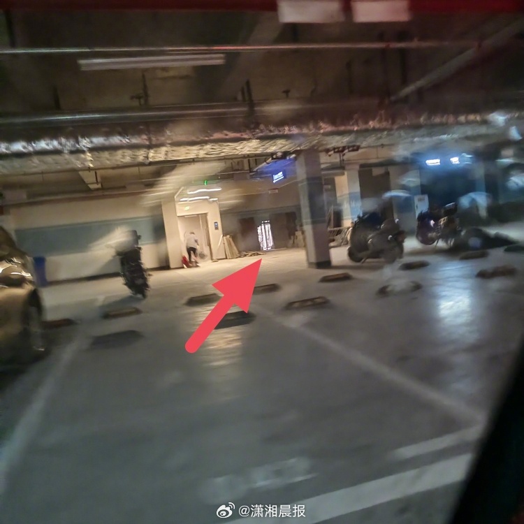 【重庆#一小区1楼4户业主联合私挖地下室##多方回应1楼4户业主联合私挖地下室#