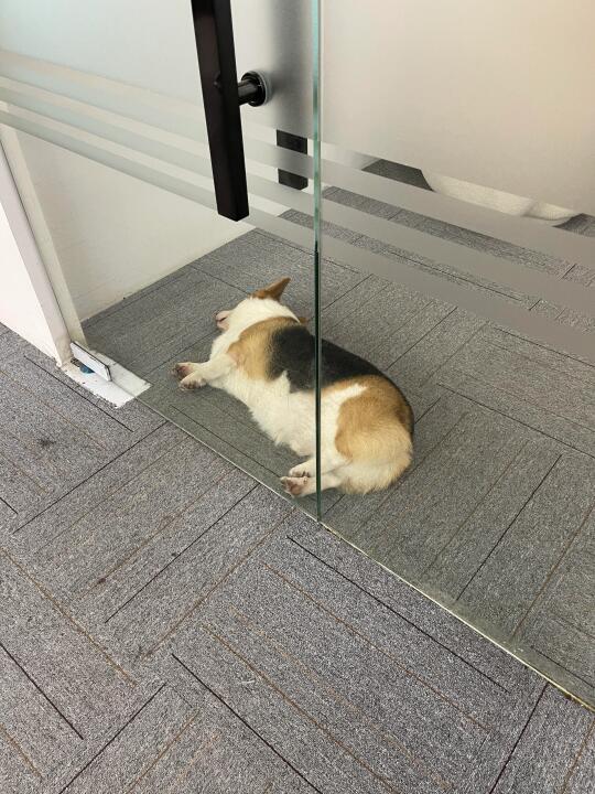 睡的像翻滚的瑞士卷