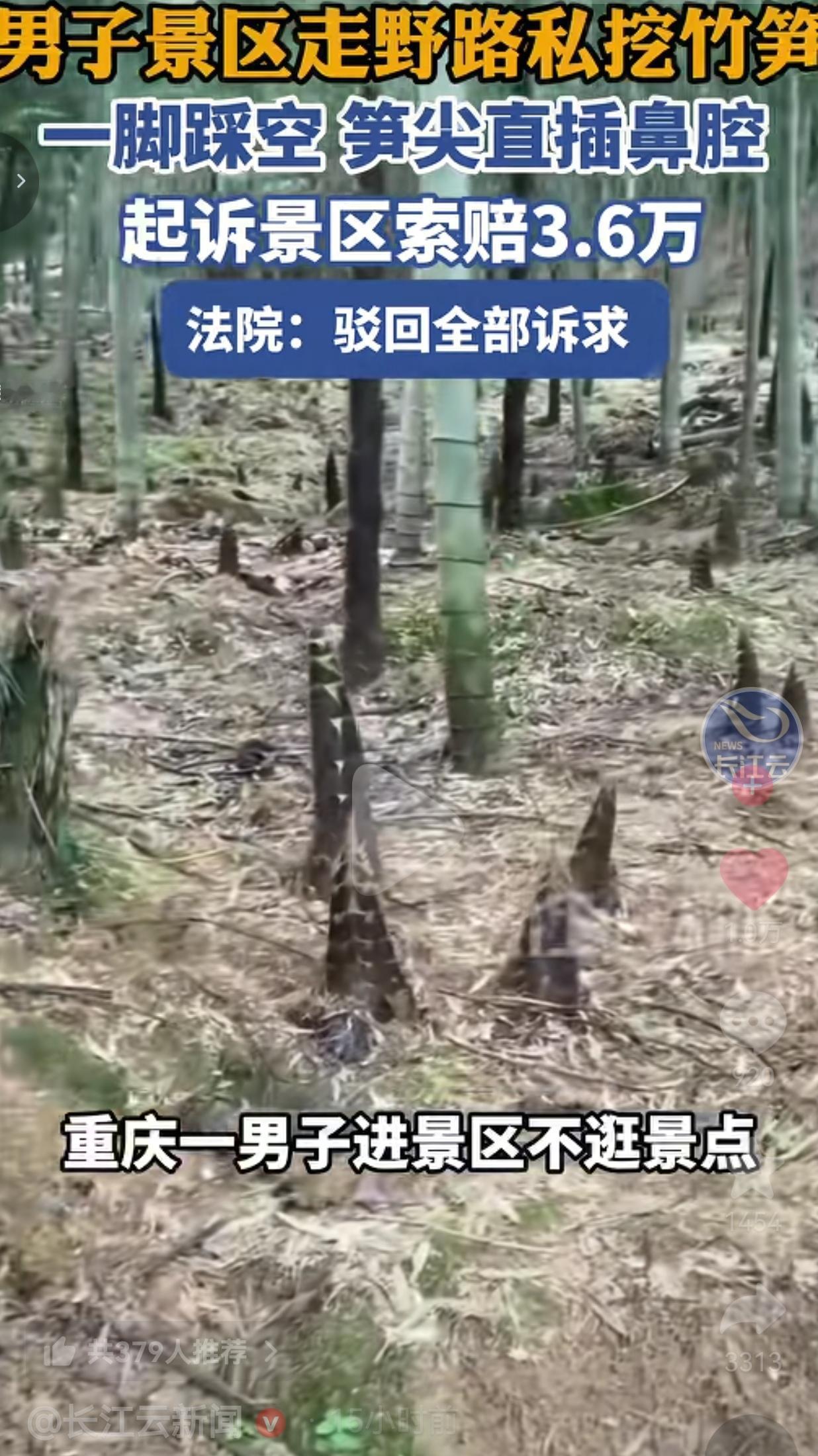 景区偷挖竹笋，自己踩空被笋尖戳穿鼻子，转头告景区索赔3.6万，法院判了！
 
这