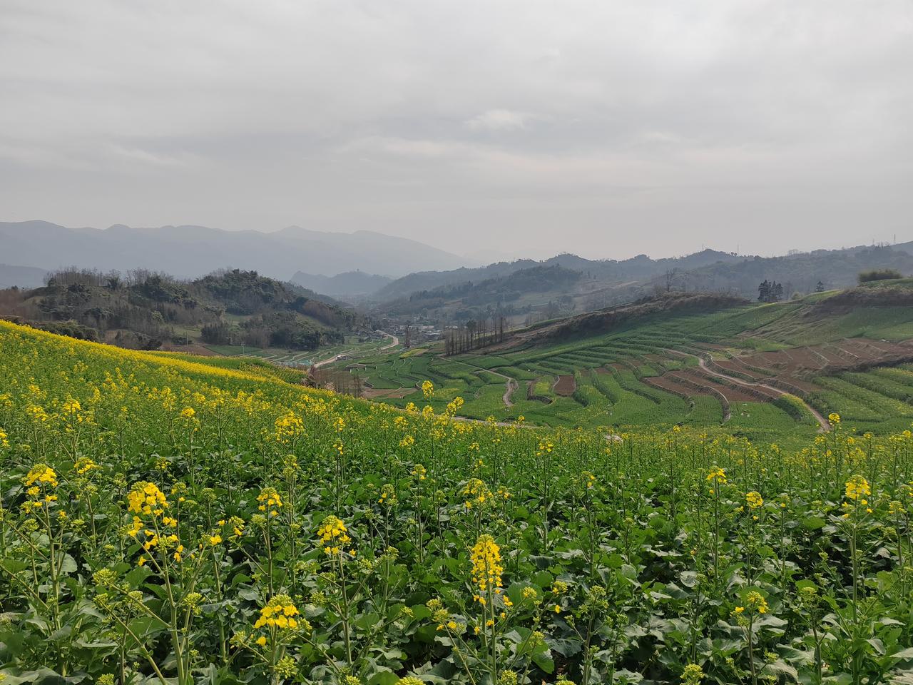 家庭联产承包责任制在全国普遍推行，核心时间是：
 
- 1978年：安徽小岗村开