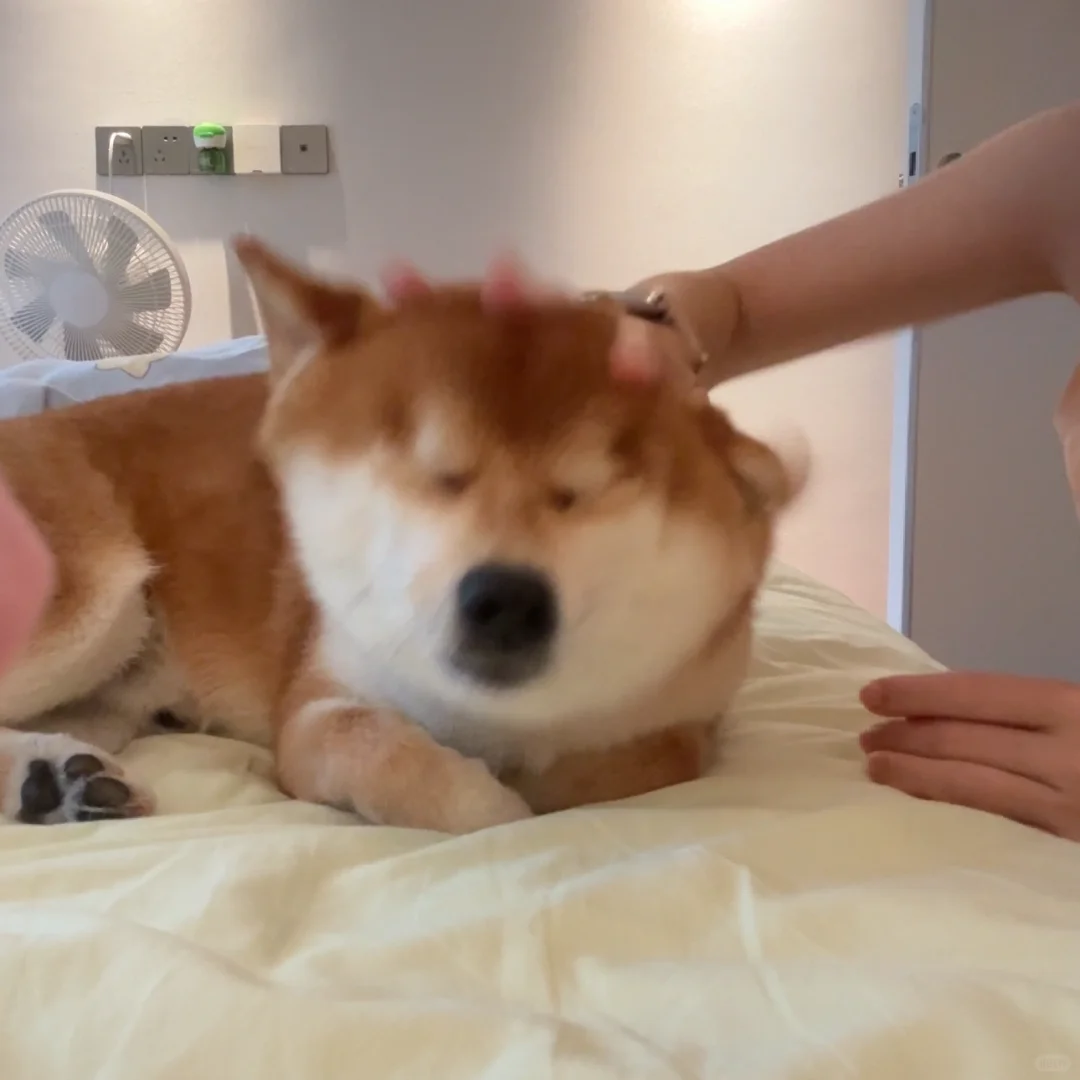 龇牙前vs教育后