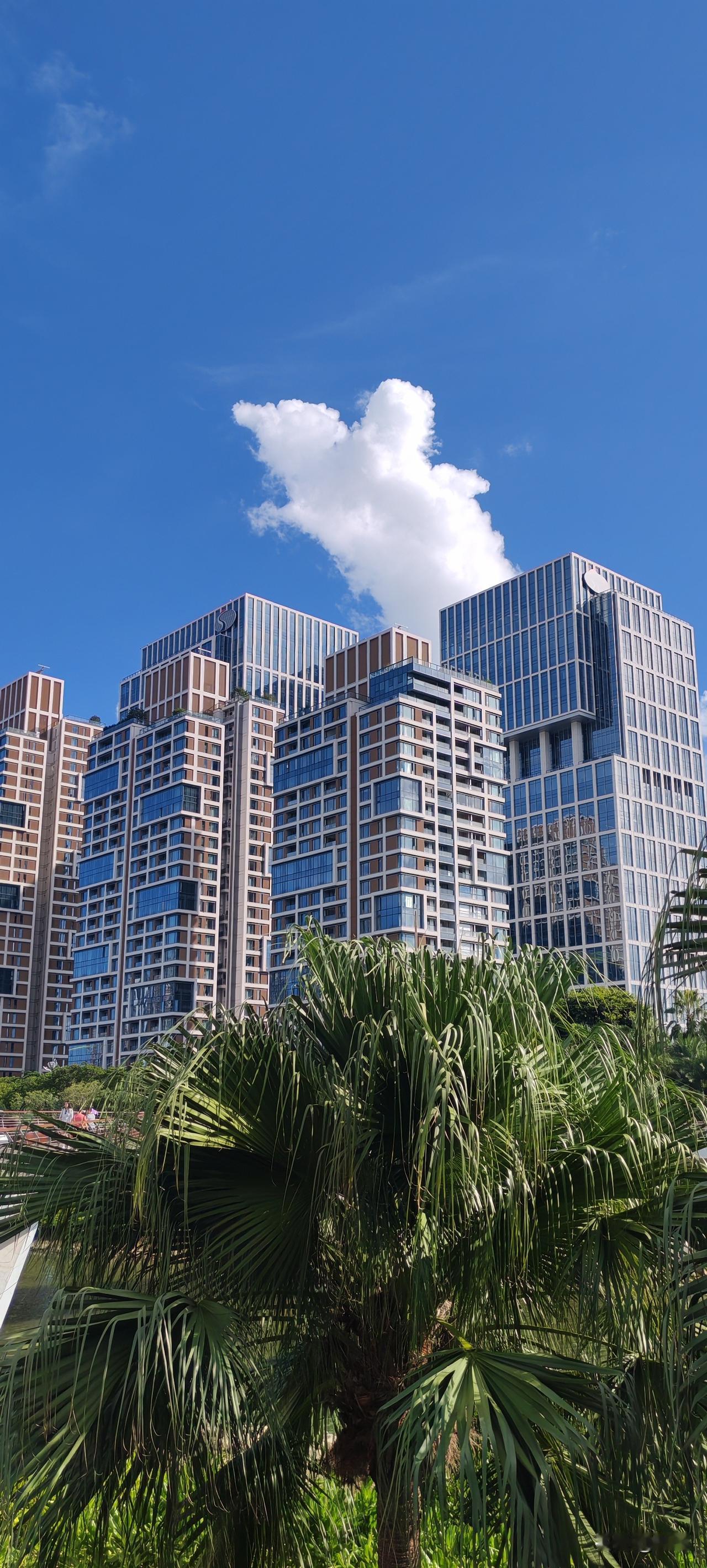 王字去一笔你首先想到的是什么字?土。