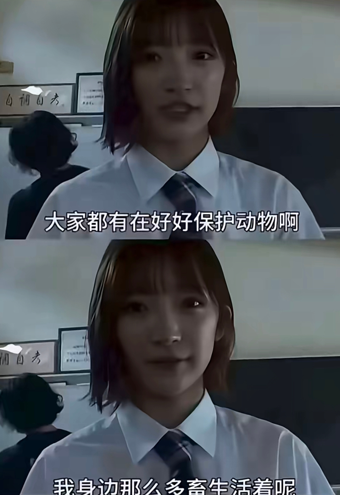 这个我允许对号入座 