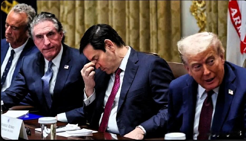 一位分析人士警告称，与伊朗的战争给唐纳德·特朗普政府带来了“晴天霹雳”，并将世界