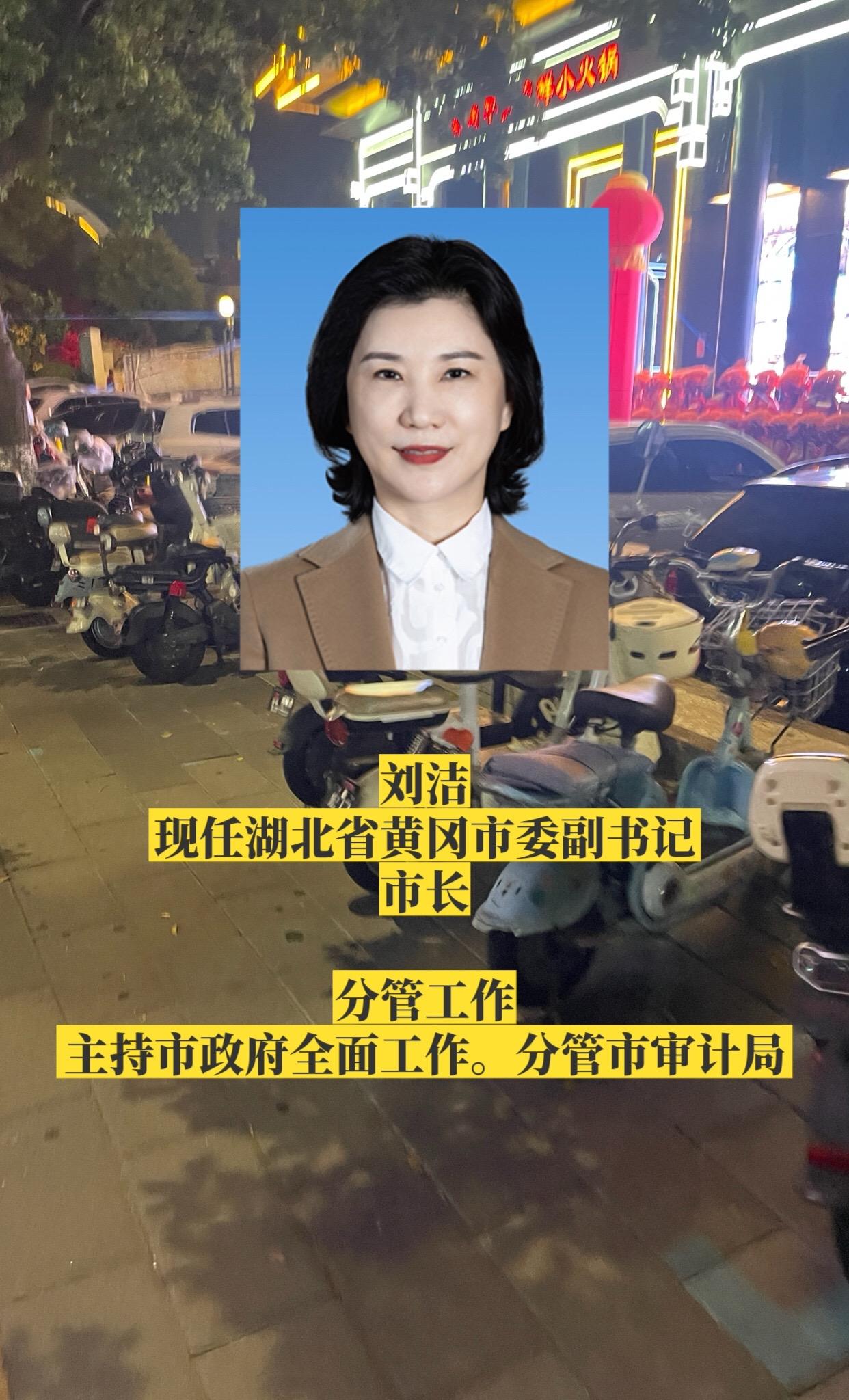 湖北黄冈市领导。