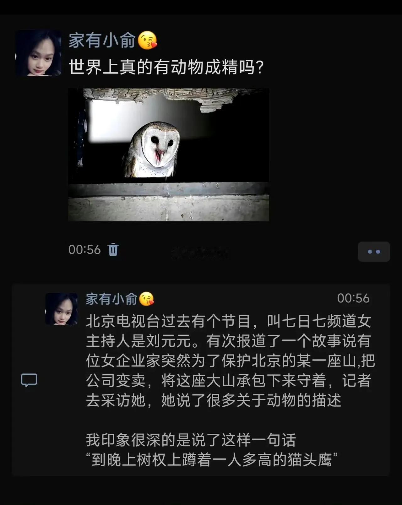 雕鸮吧 50多厘米，看着就像成年人蹲在树上