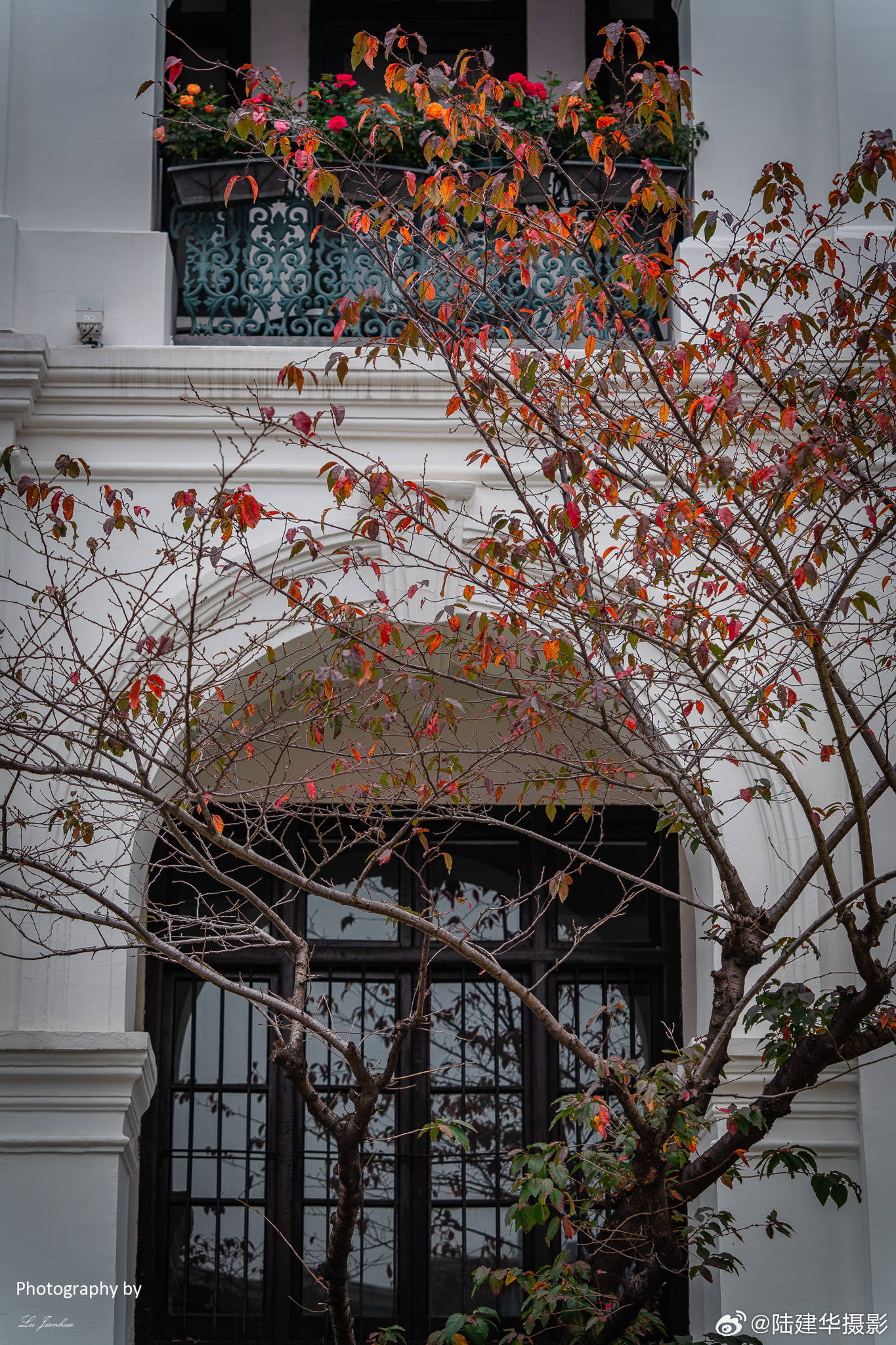 无锡市中心的崇安寺，曾经是无锡最古老的寺院，它和上海的城隍庙、苏州的玄妙观、南京