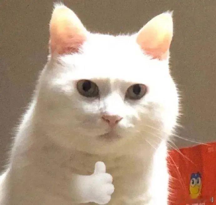 #找不到工作的半年里看了100多部电影#失业不是终点，而是新旅程的开始。这些影片