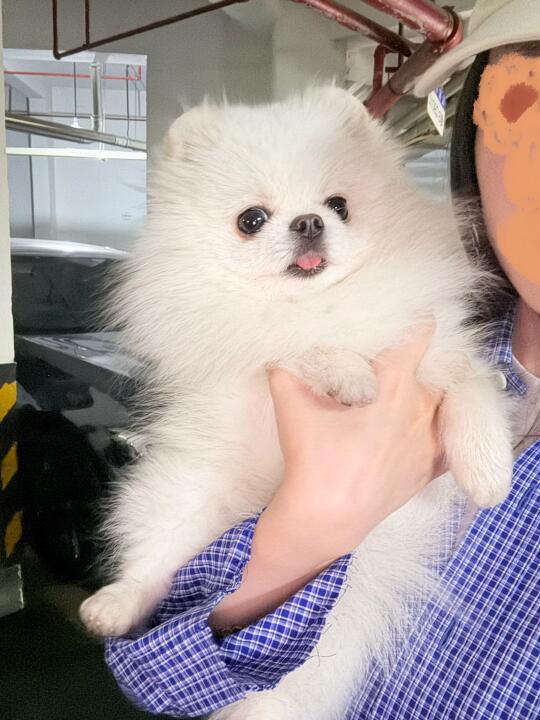 我们小宝出门了