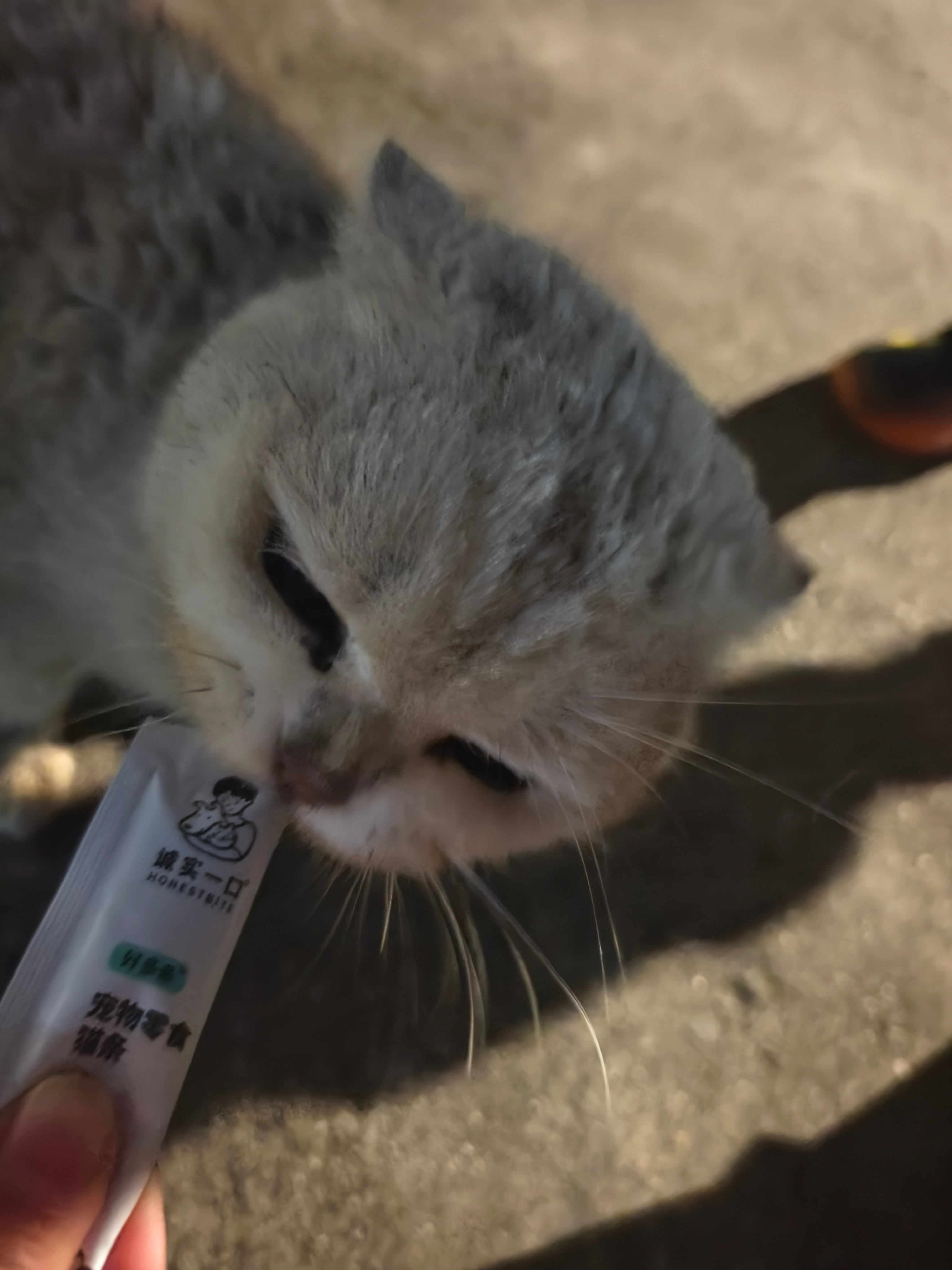 小家伙 竟然熬过了冬天 还比之前胖了好多