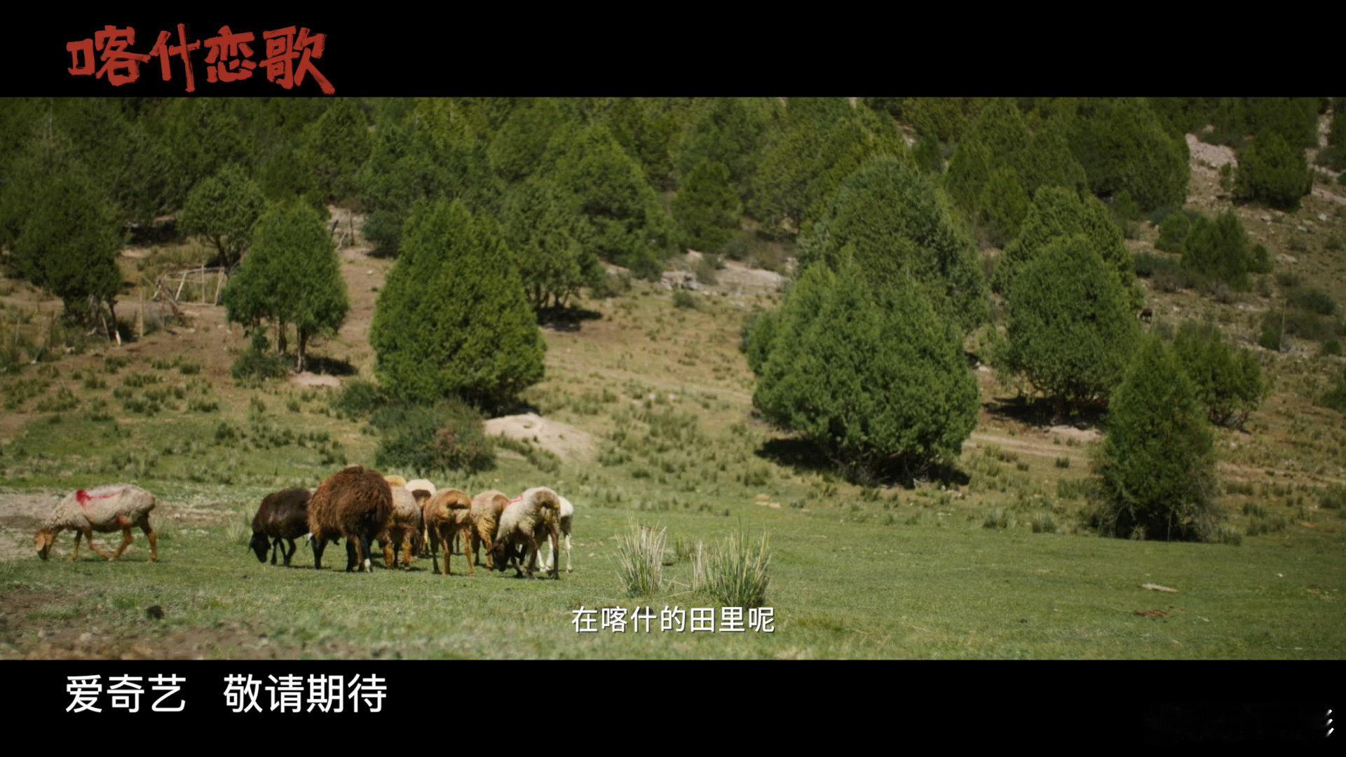 李兰迪郭俊辰喀什恋歌定档迷你剧喀什恋歌 夏孜有着柔软的底色，骨子里却坚韧热烈，在