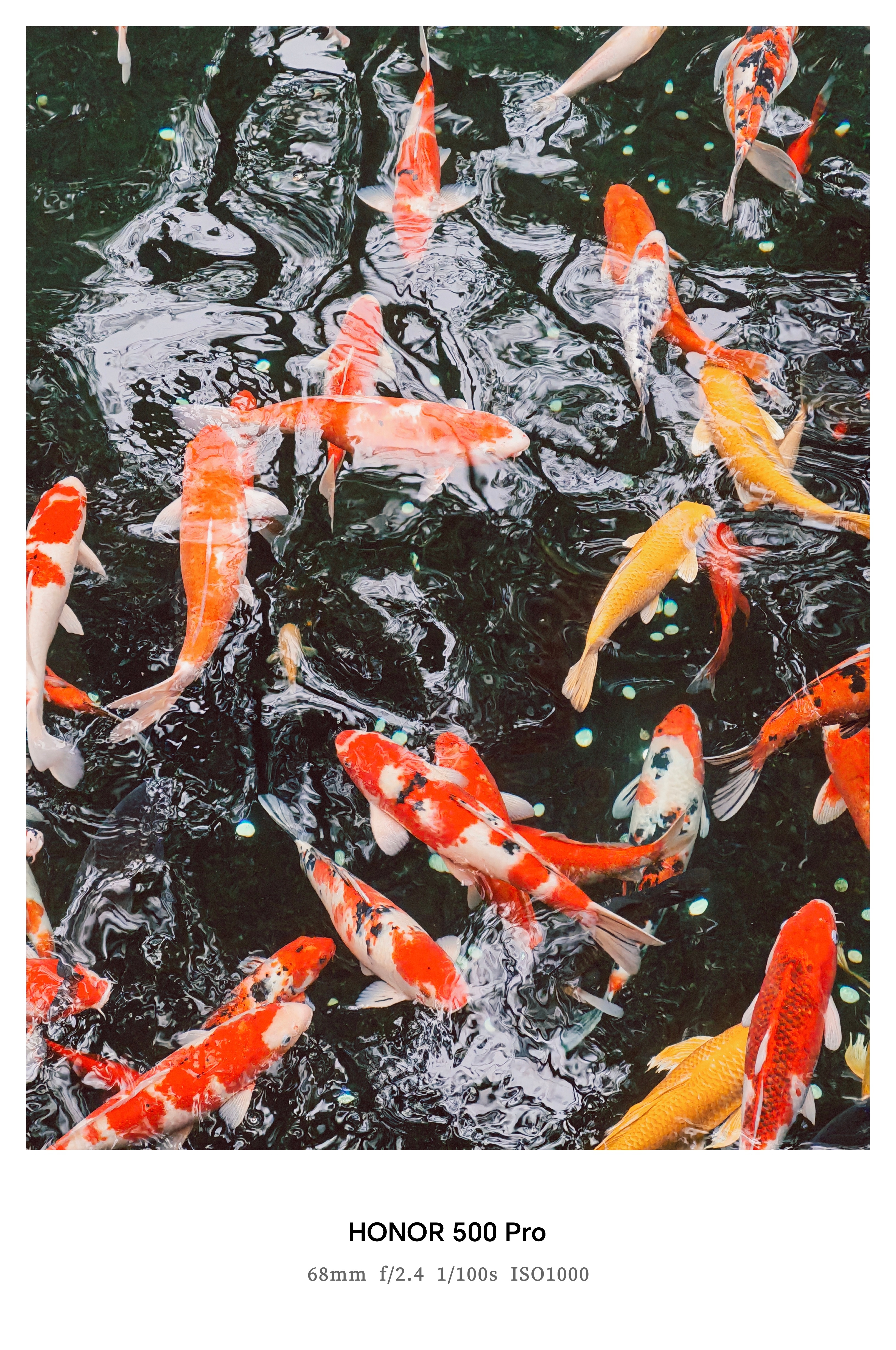 系列影像超全能！荣耀500系列带来档位最全实况体验，首发行业唯一前后置Live人