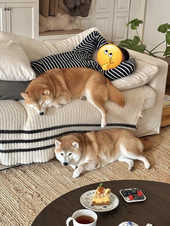 你们仨把日子过好 比什么都强😁