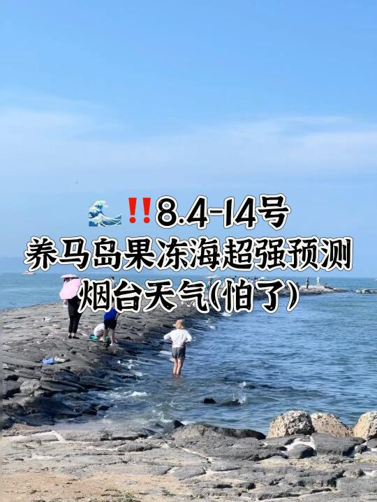 📍8.4-14号烟台养马岛果冻海超强预测