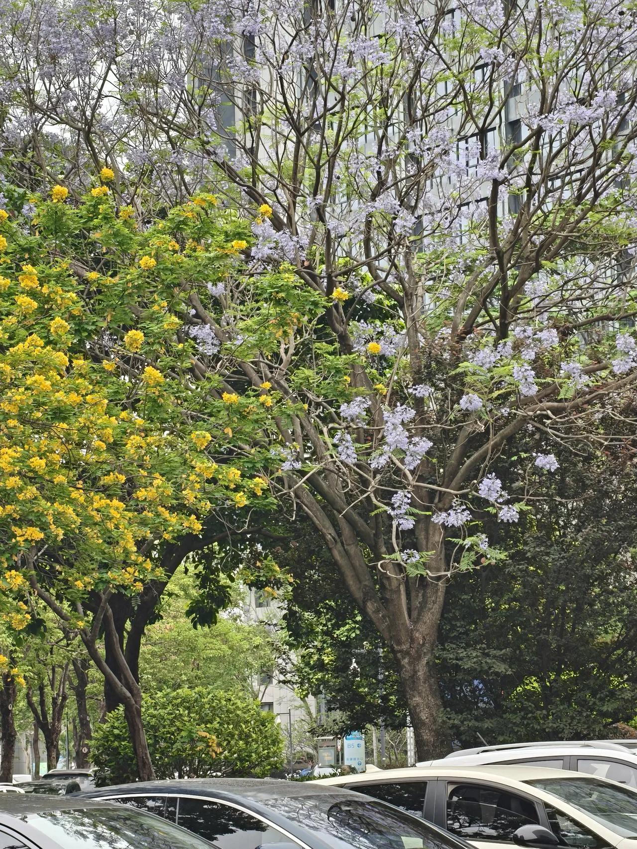 又出错了，我的抱怨只能自己消化吗？好像也不能跟任何人说，他们都会说这只是你自己的