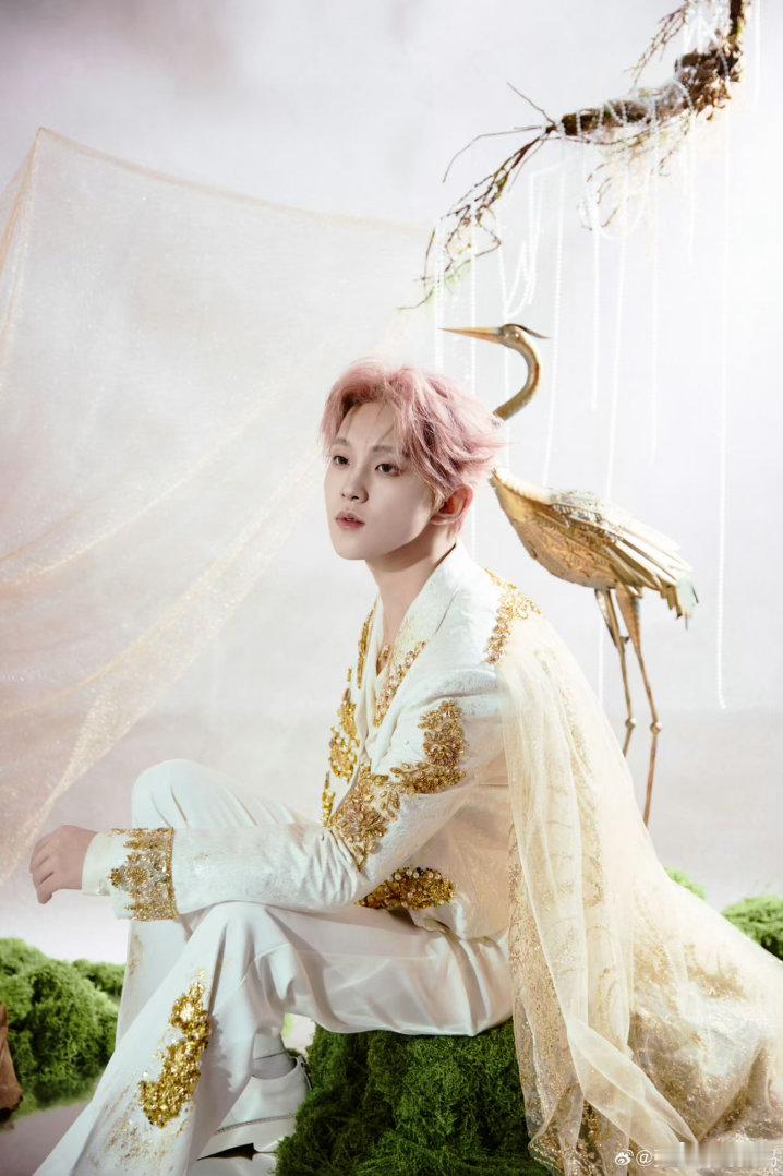 张星特演唱会现场脱衣服 猝不及防的脱衣名场面！自然不刻意，张力拉满，曾经的小男孩