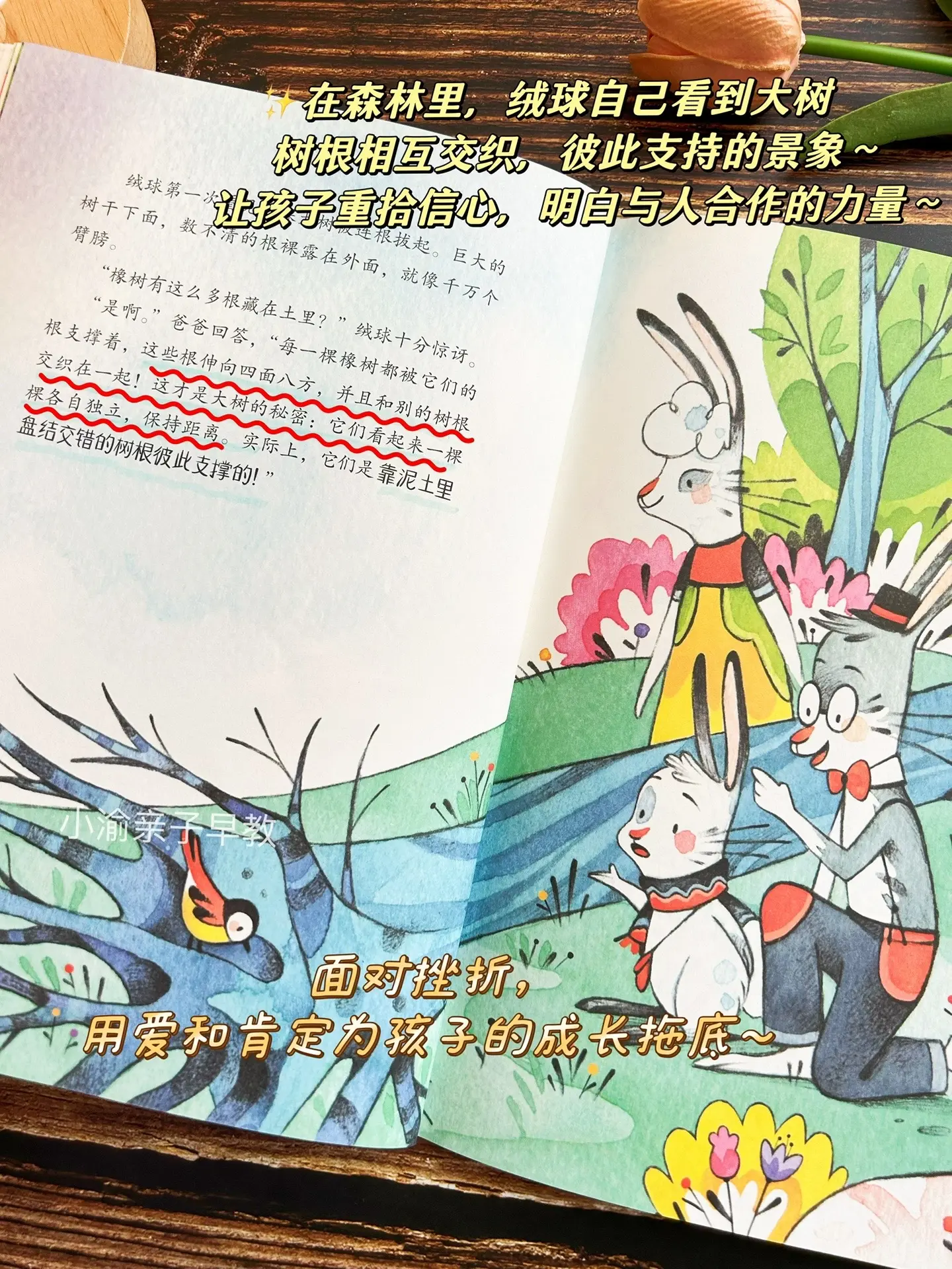 孩子事情做不好就炸毛、发脾气、不听劝！拒绝帮忙，怎么说都不听！不妨看看...