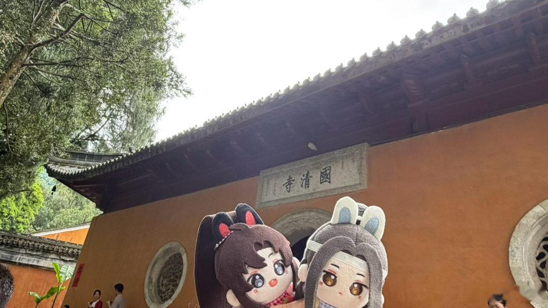 居然半年过去了，好像干了啥又好像啥都没干…… 
