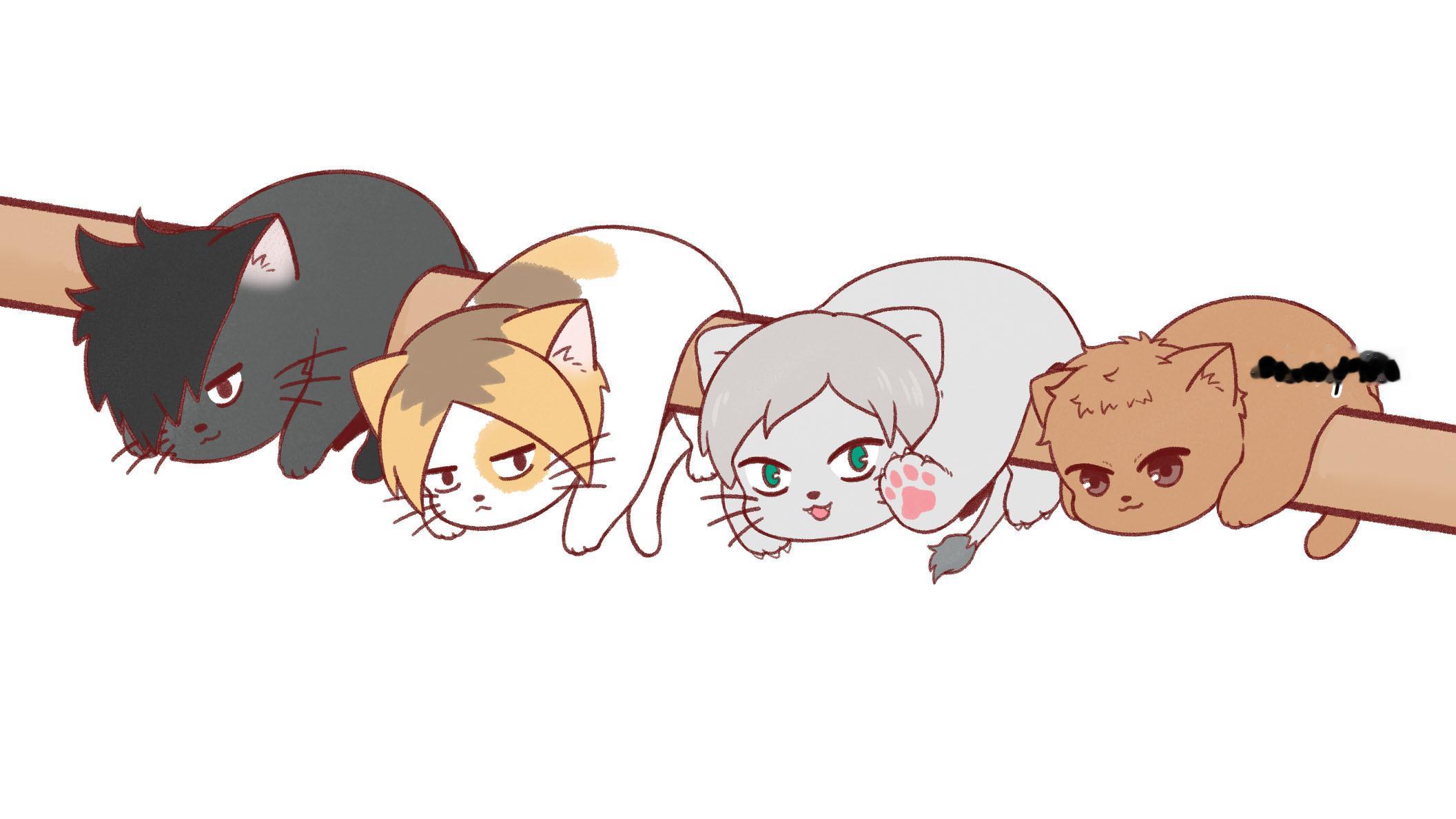 #排球少年# 猫猫大作战x:kukpike ​​​
