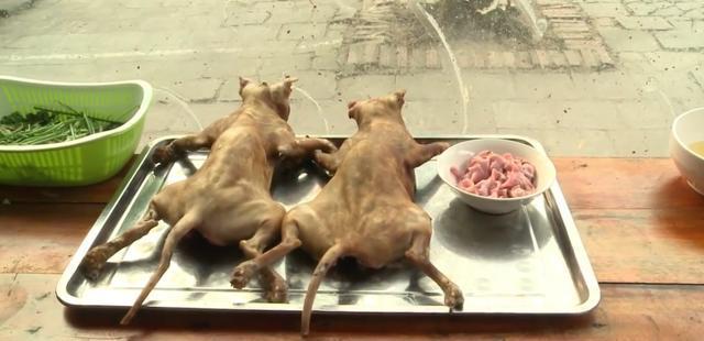 小猫14，大猫18，广东猫贩子每天贩猫，月入高达30万
昨晚刷外卖，手指停在“秘