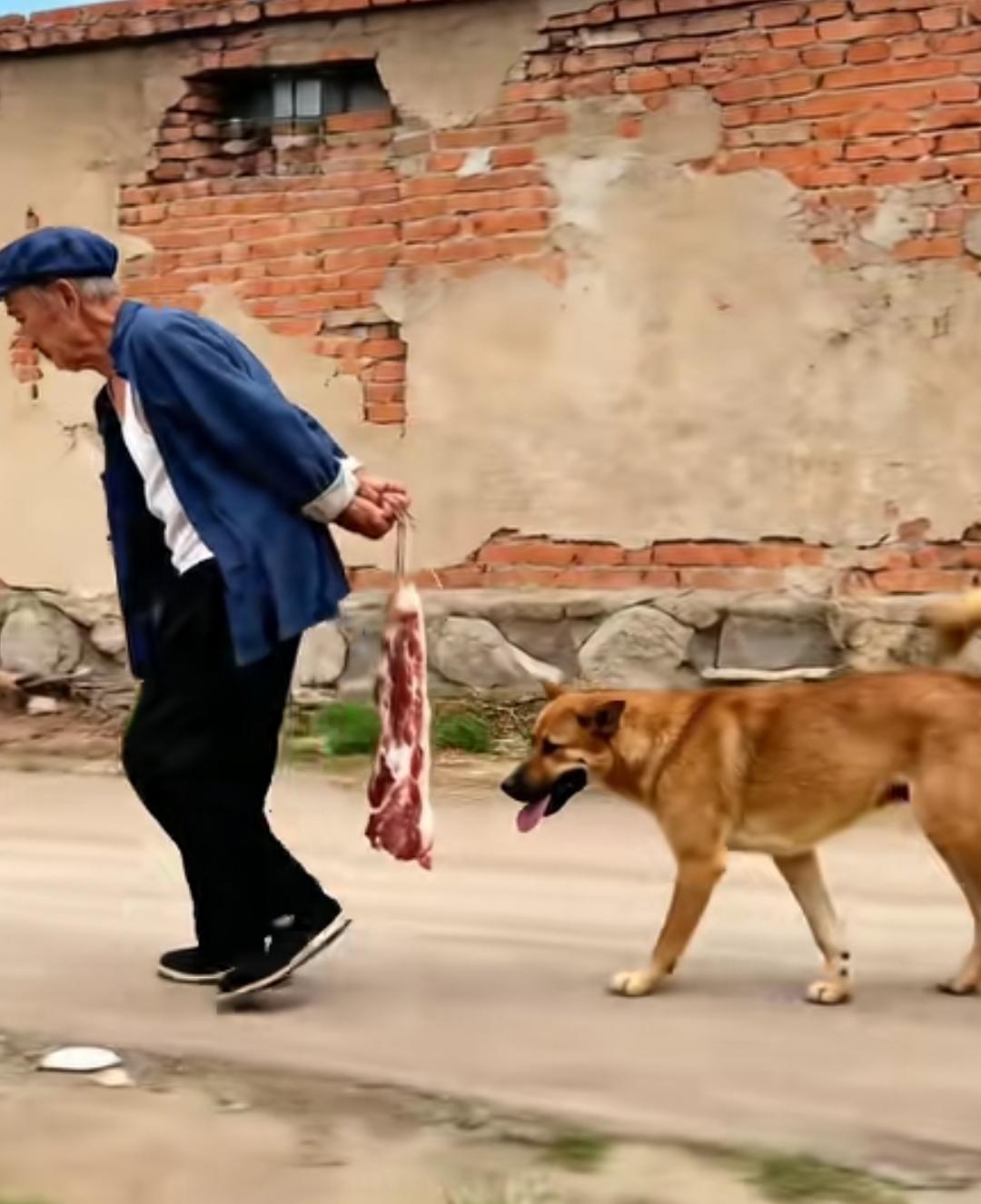 人老了，手里没点东西，狗都不理你！