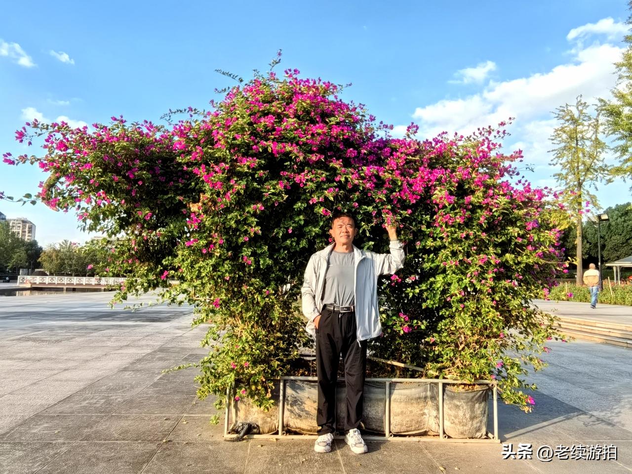 苏州姑苏主城最大公园一一桐泾公园。姑苏景点 姑苏名胜 苏州城市公园 姑苏游玩攻略