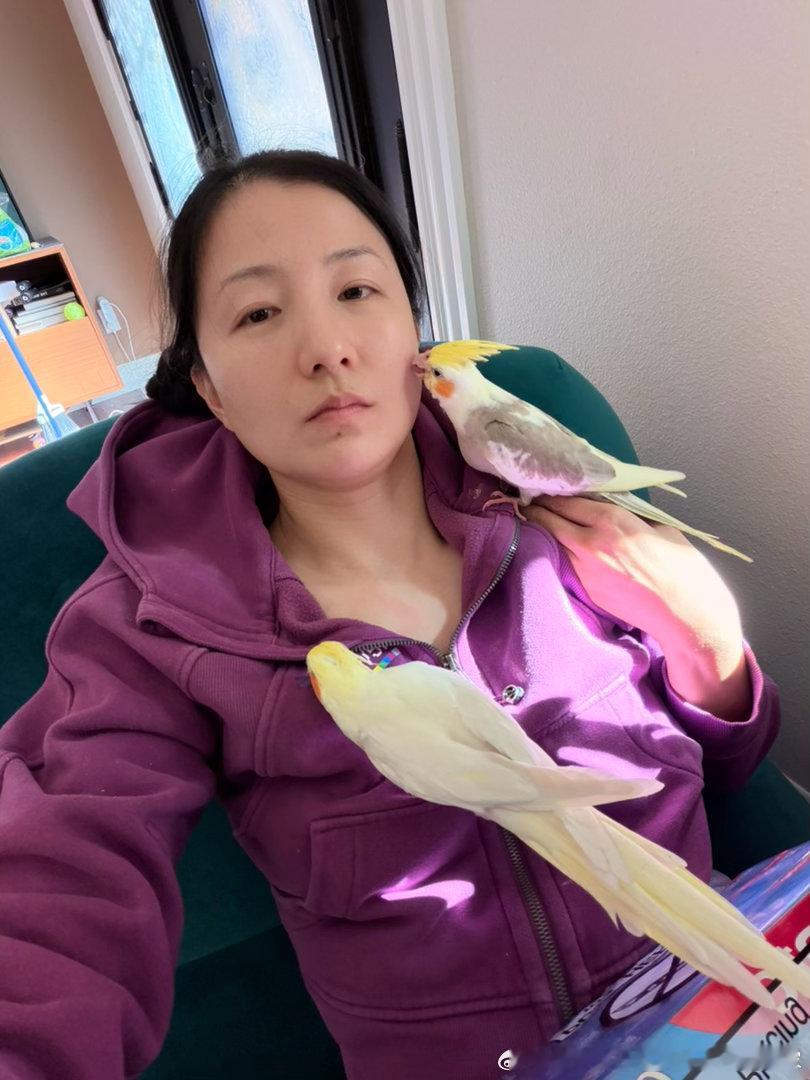 养鸟和养娃差不多玩具那么多永远喜欢玩不该他们玩的东西比如就是喜欢咬我的首饰和拉链
