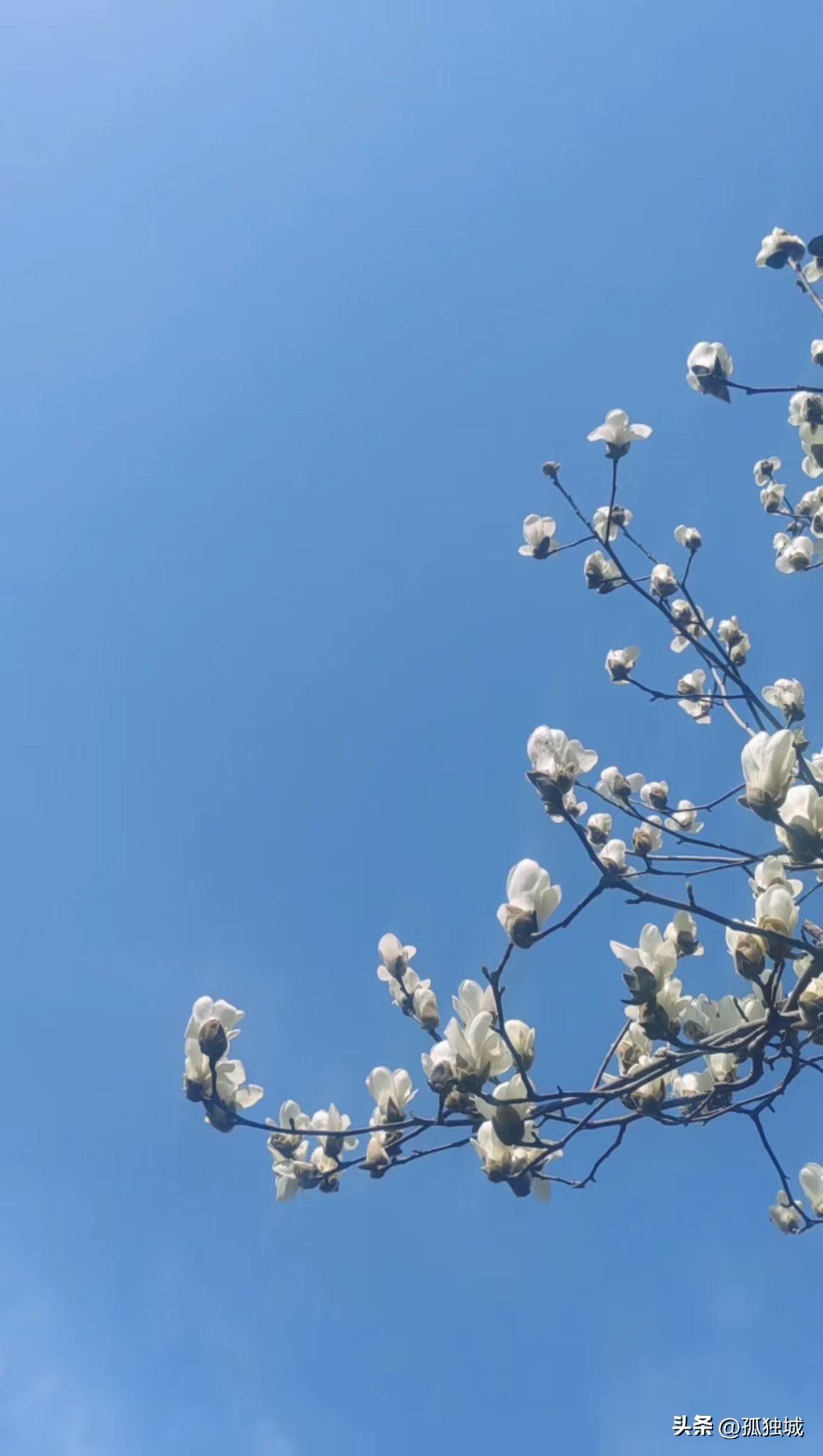 最近突然猝死的案例频繁发生……
给青年人和中年人一个善意的忠告，睡觉的时候还是要