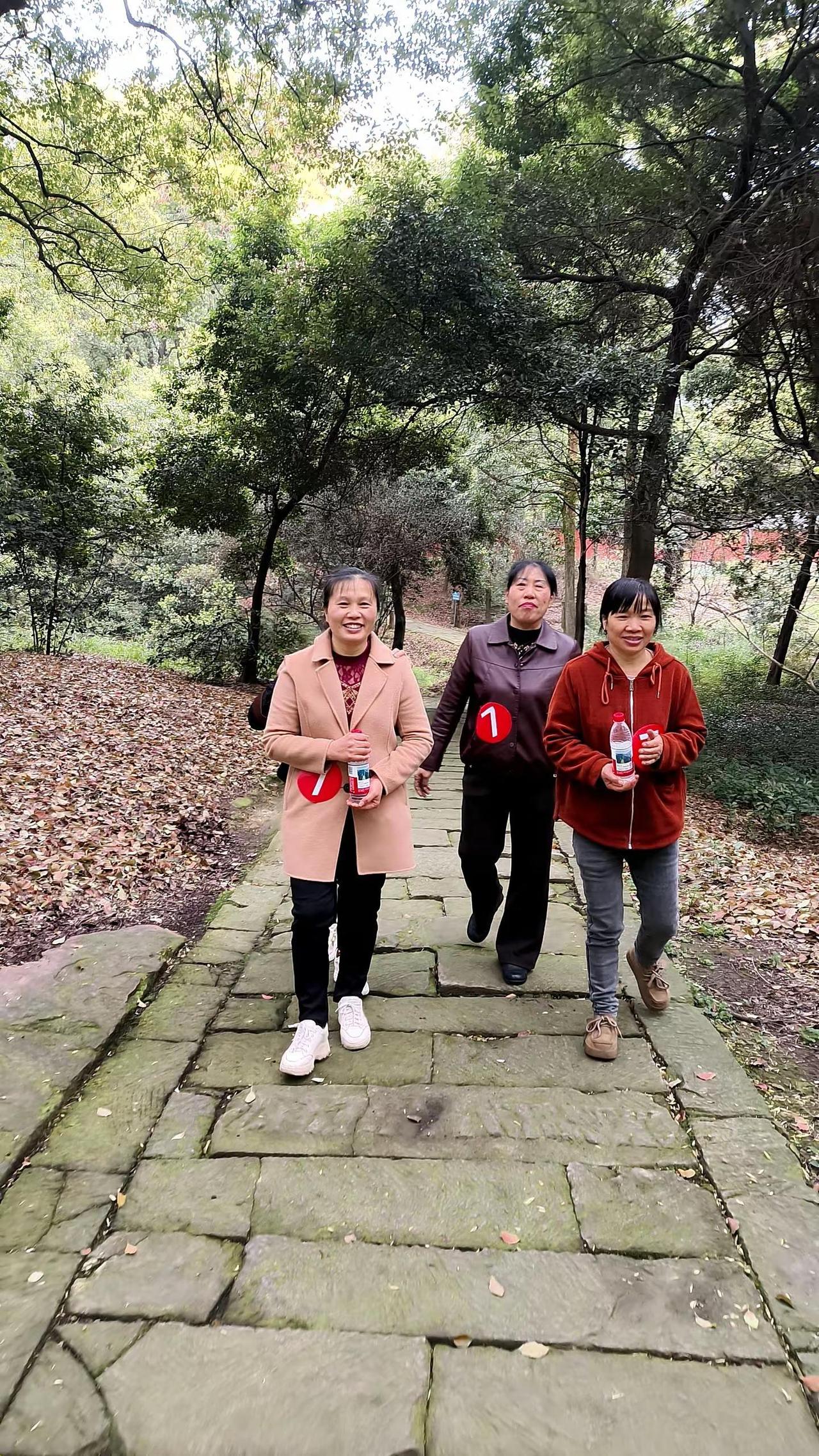 户外徒步 森林氧吧