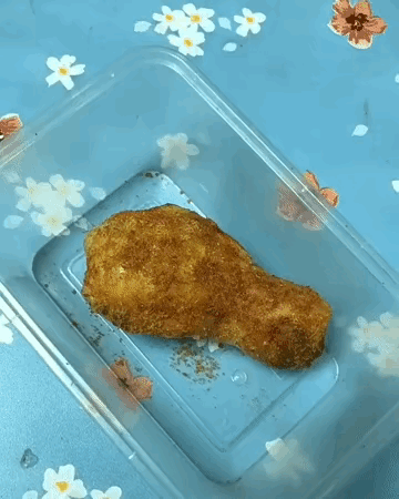 手机看多了眼神就不好了，还以为是鸡腿了，最后才发现竟然是这？