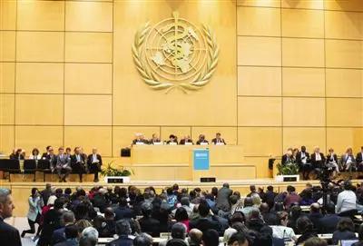 连堵10年！中方彻底封死WHA，岛内政坛突然大乱
 
今年日内瓦世卫大会，结局没