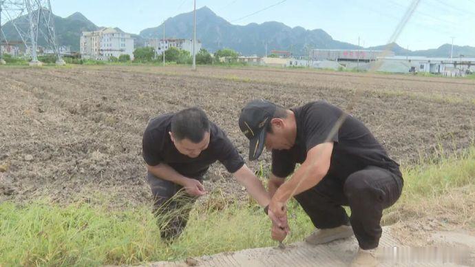 厉兵秣马临海全域筑牢防台安全线台风 “白海豚” 逼近，临海上下厉兵秣马、全域布防