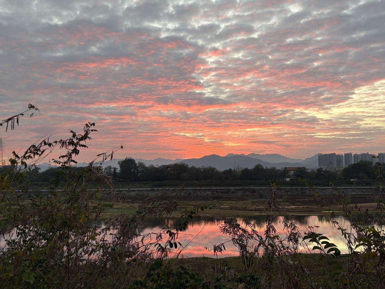 天津大爷30克金条藏辣酱发快递！

天津大爷把30克金条藏进辣椒酱里，要寄到外省