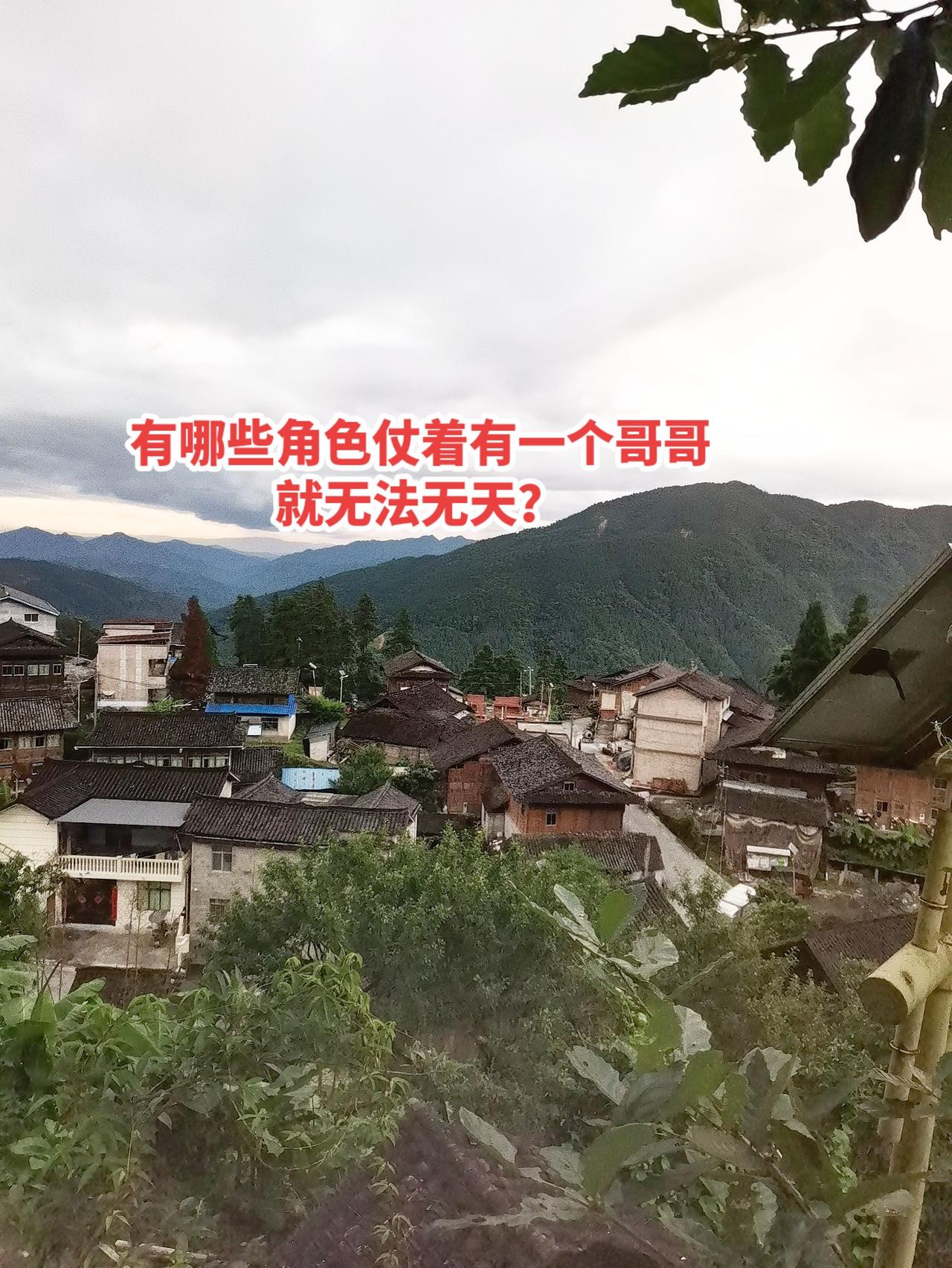 是紫禁城的风太大，还是你听不懂本宫讲话！你们猜猜看是谁说的话？角色 历史故事 历