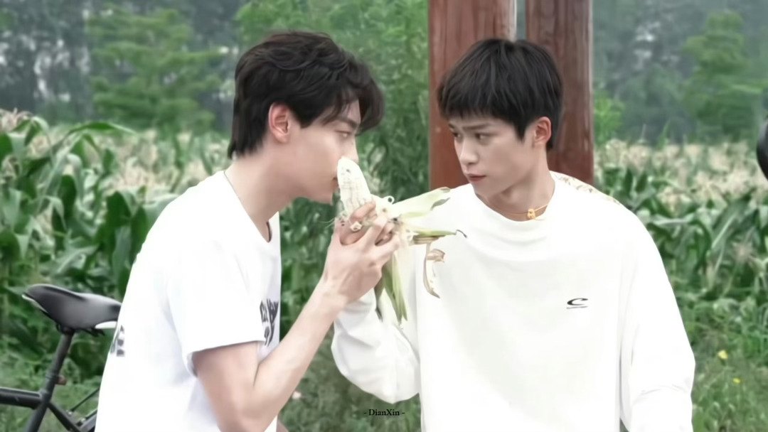 纯爱💕 
