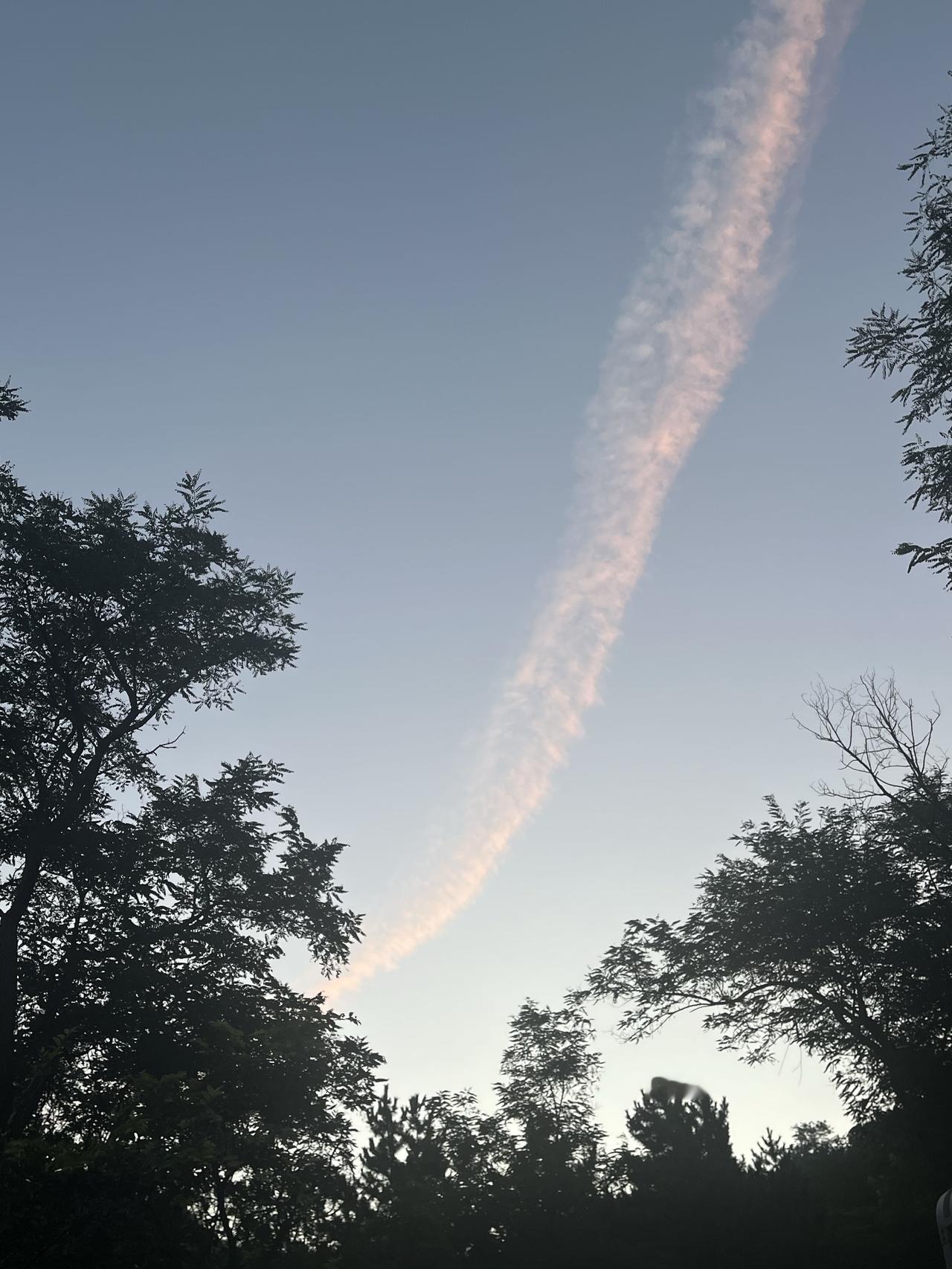 大丈夫能屈能伸，但是你必须要先活着！面对这疯狂的市场，你第一时间就要想到如何保存