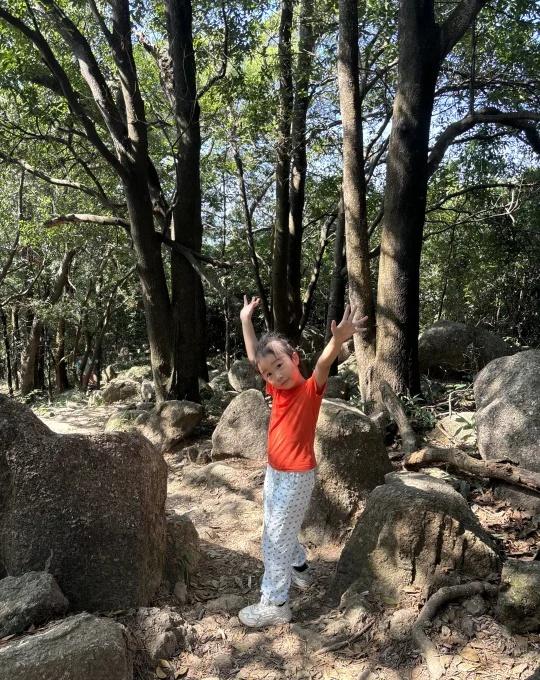 梅林山私藏路线：这才是深圳秋天的野趣🌳
谁懂啊！在梅林山挖到宝了——石阶踩出“