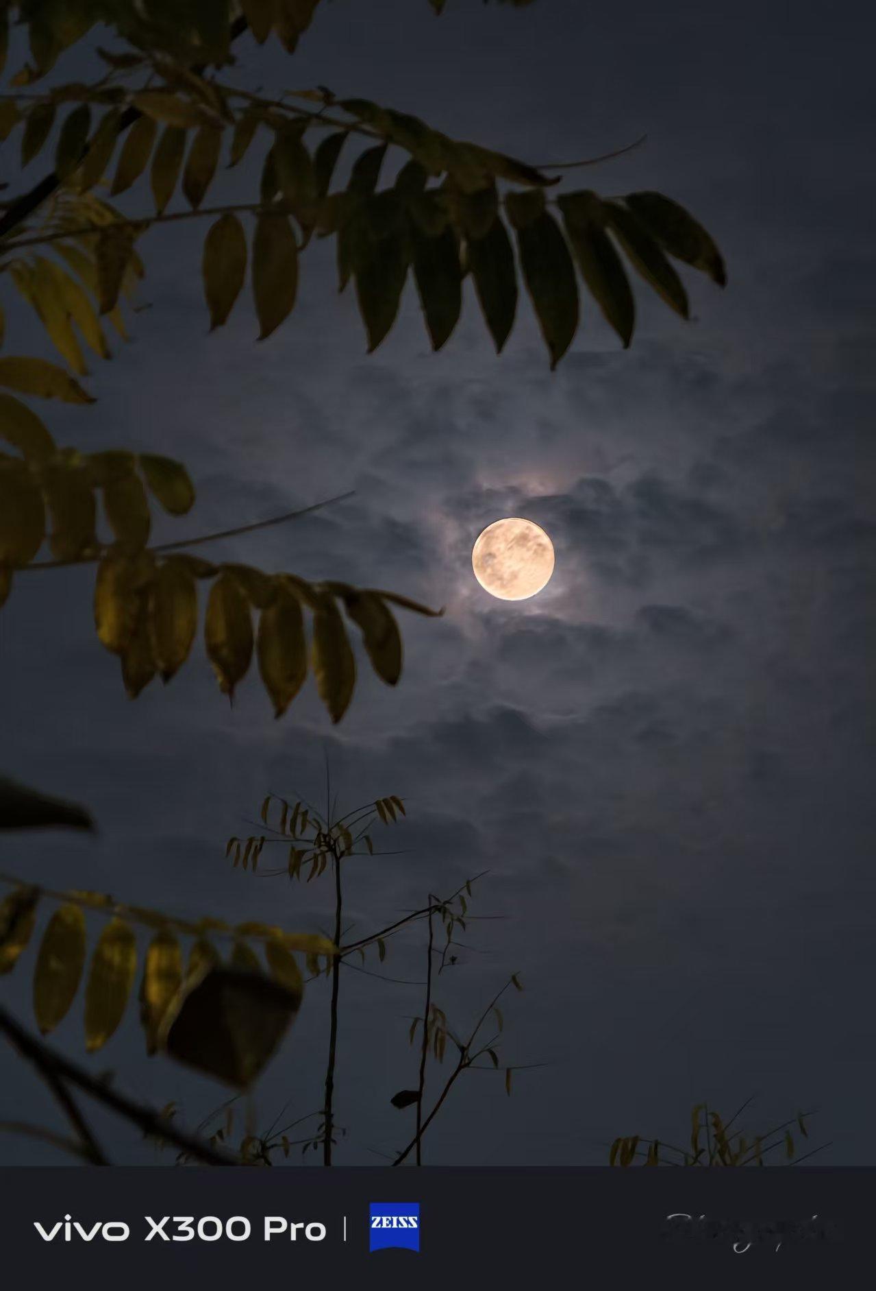 今天晚上，河北邢台的夜空真的太美了，这是用相机和运动相机拍下来的一组月亮的图片，