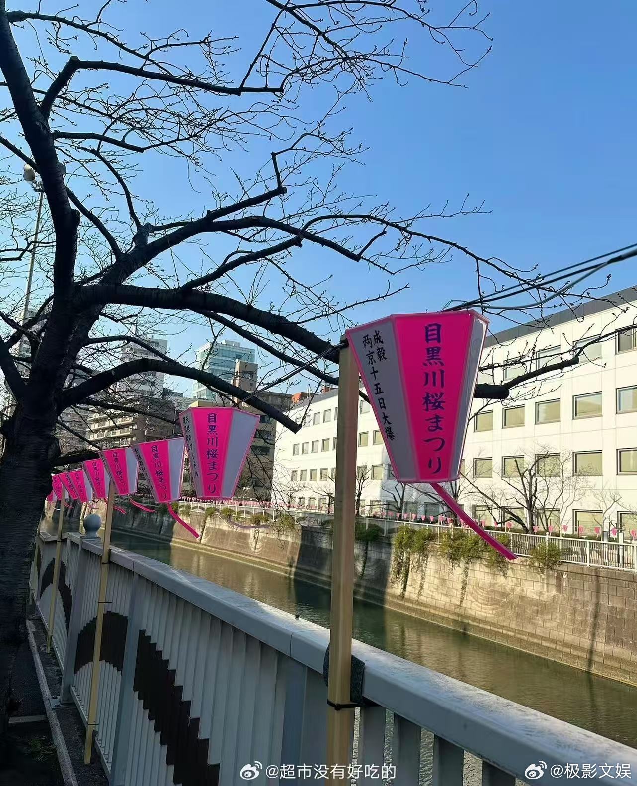 成毅两京十五日外国粉丝应援成毅新剧外国粉丝应援成毅两京十五日外国粉丝应援，挺好挺