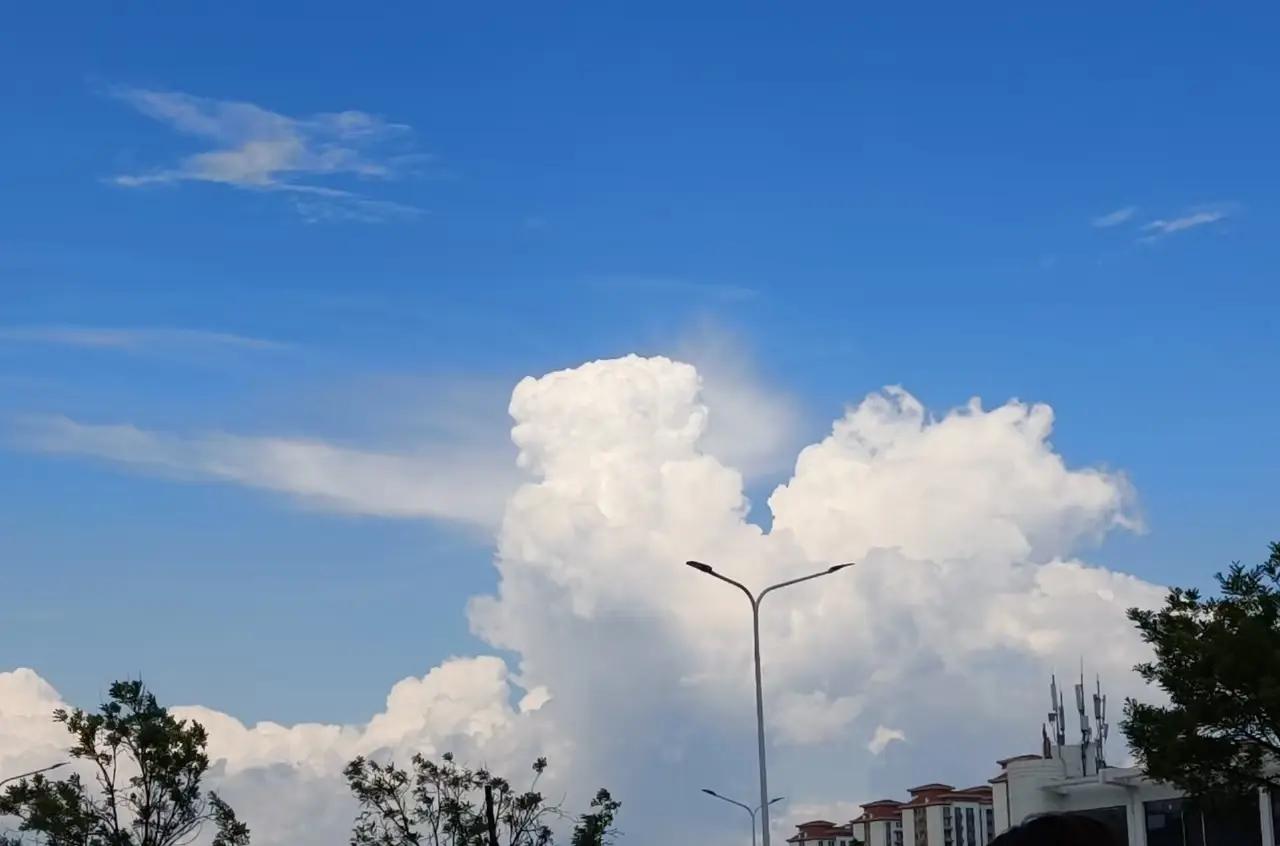 随手拍风景风景优美空气清新