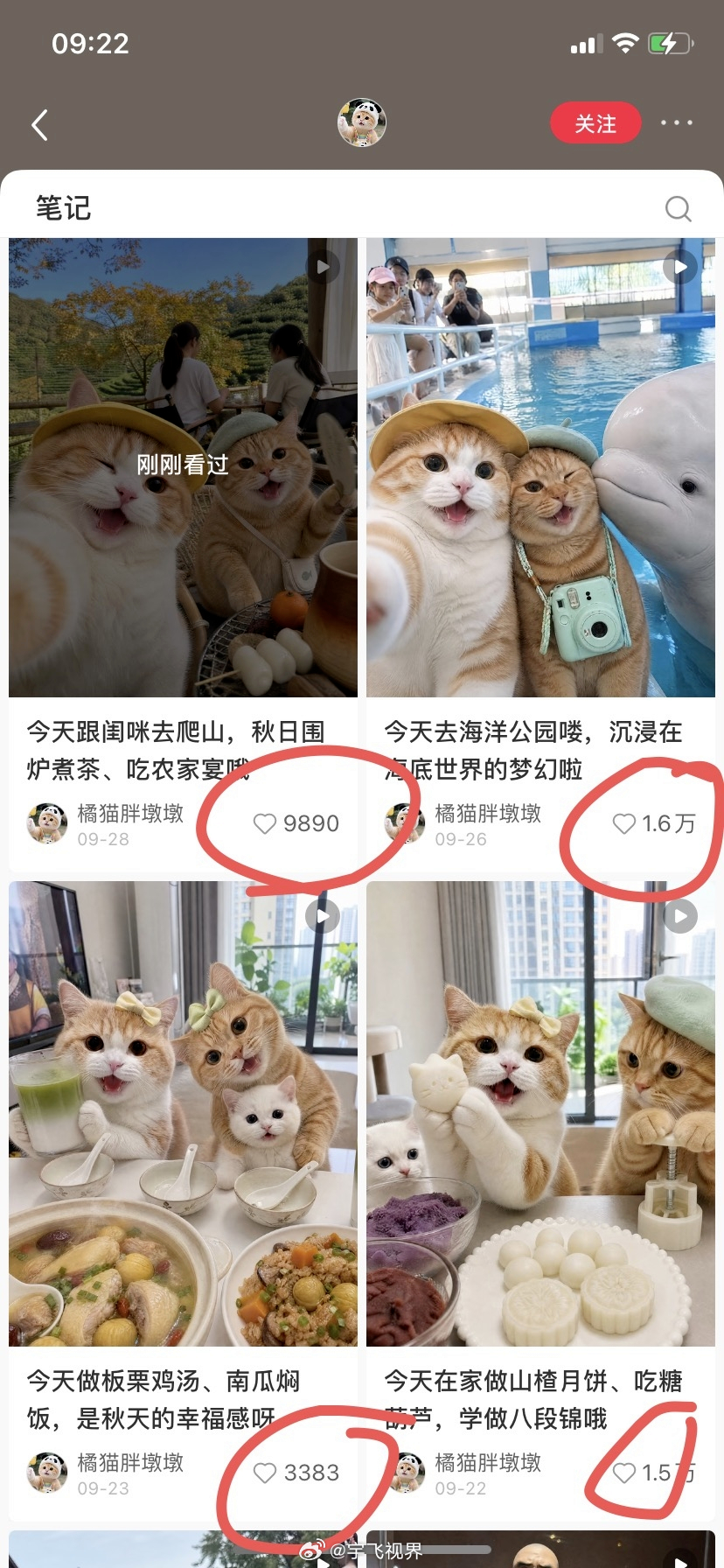 AI做短视频，给宠物编故事，还可以接商单融入视频中打广告，都是日常吃喝玩乐视频点