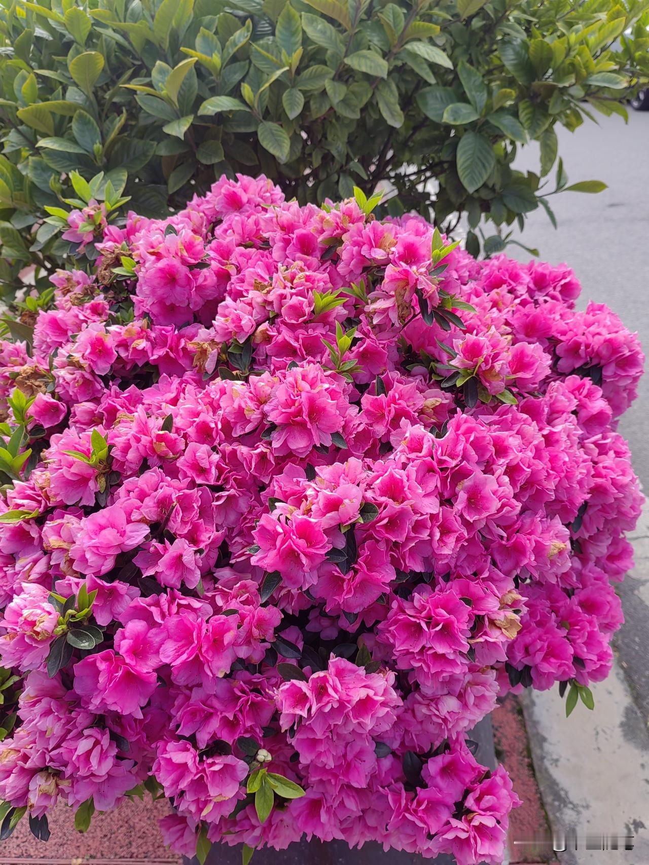 女人自身的强大，才不会依附任何人，才能在生活和婚姻中掌握主动，活出真正的自我[赞