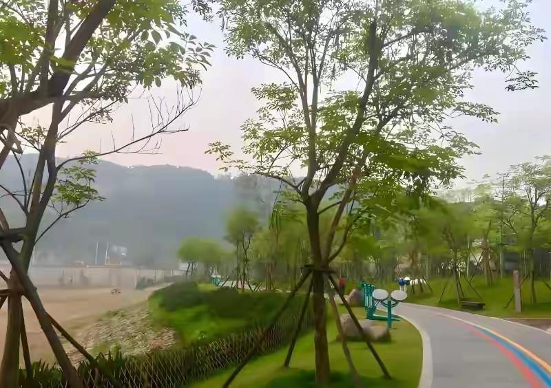 在投资的世界里，向来是 “撑死胆大的”！就像今天，有人果断乘胜追击，在尾盘再加了