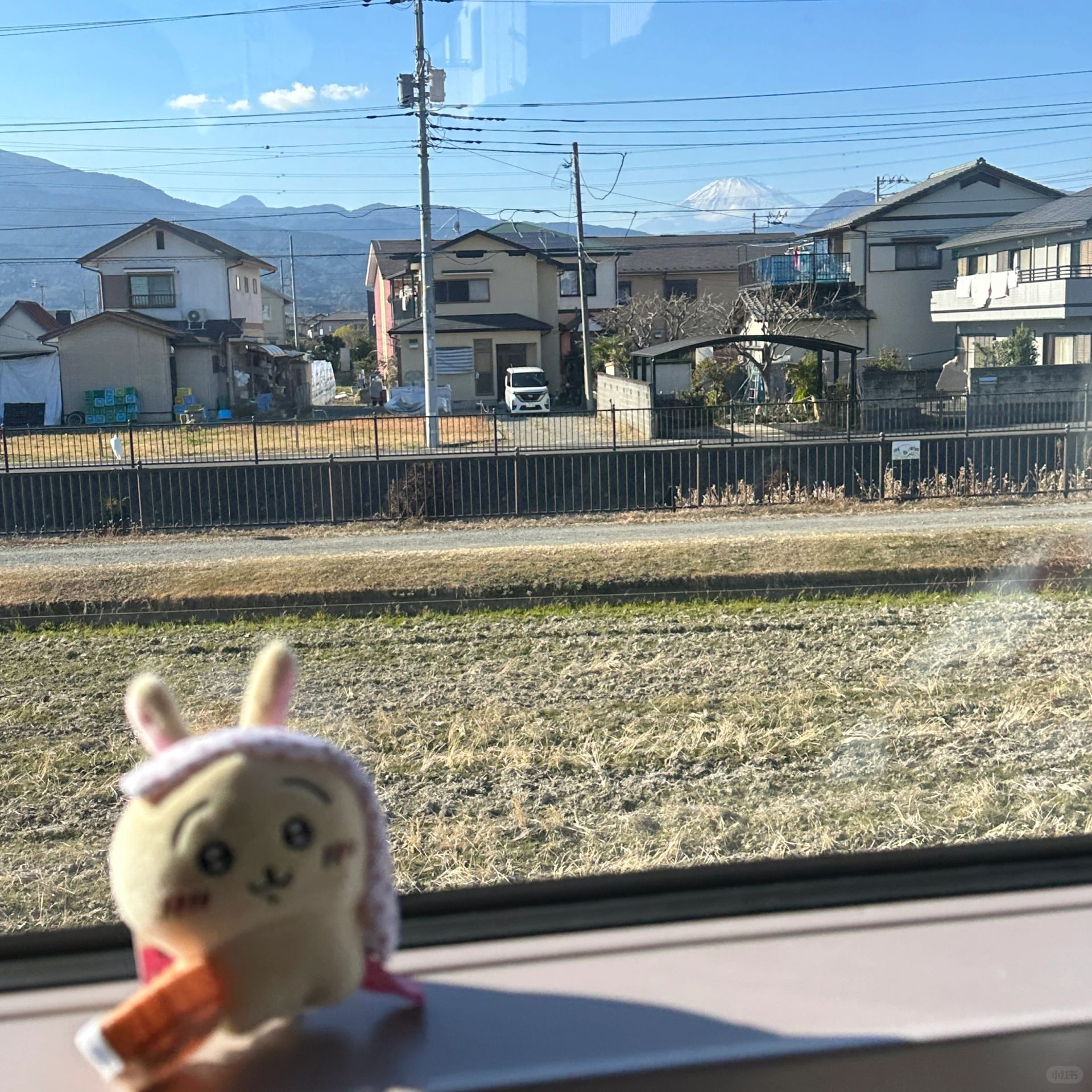 带宝宝去看富士山🗻
