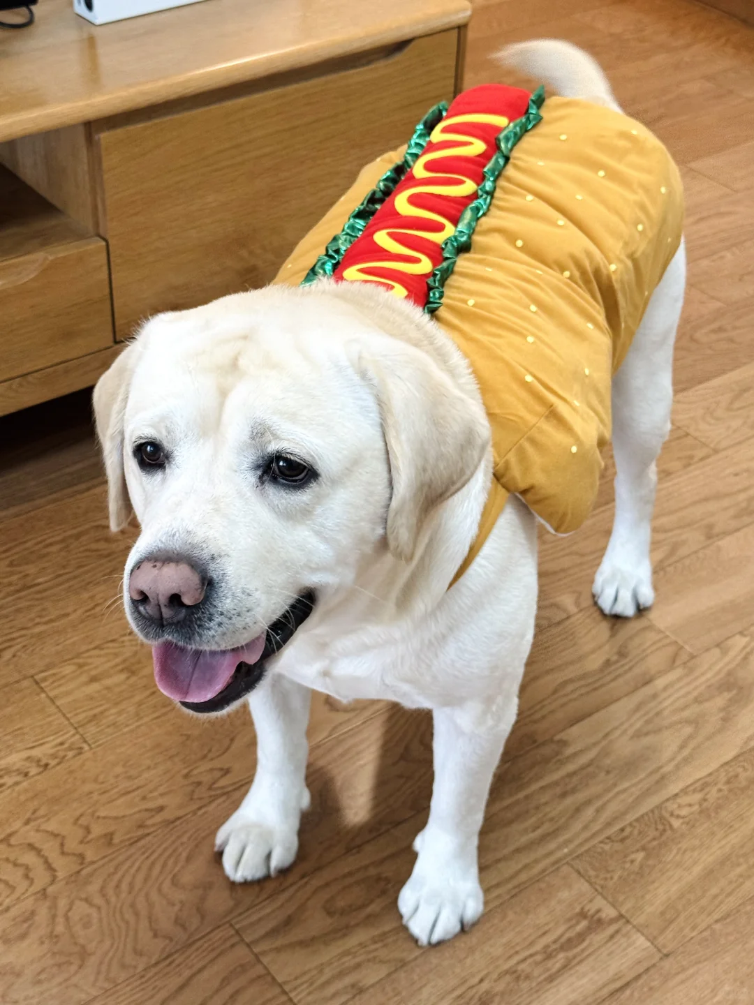 🌭真热狗