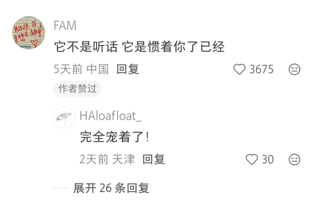 这只猫只是爱你罢了 