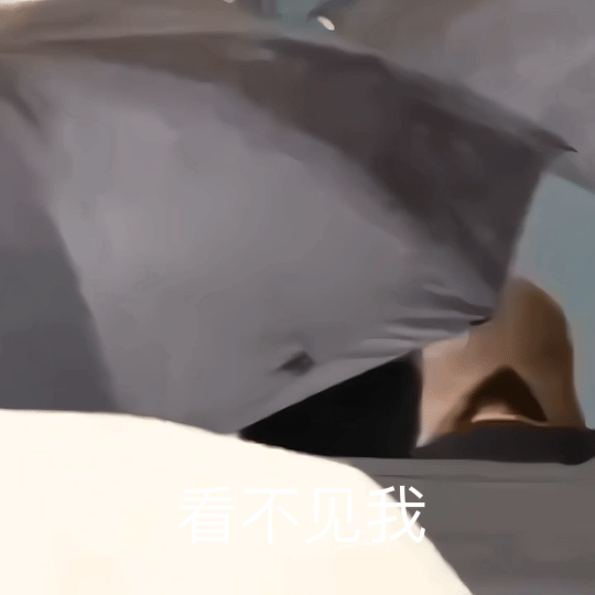 “看不见我，看不见我”。太好笑了，看一次笑一次 ​​​
